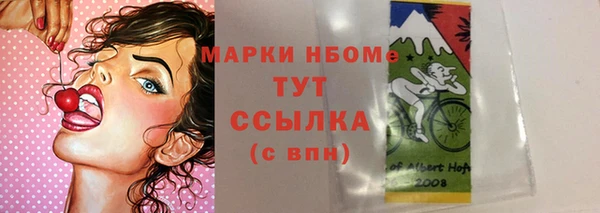 стафф Арсеньев
