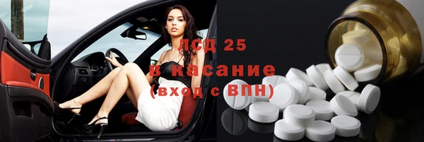 стафф Арсеньев