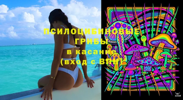 стафф Арсеньев