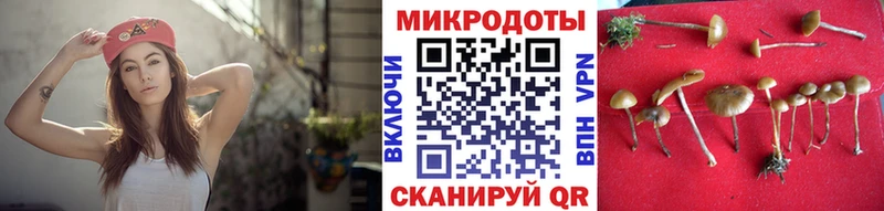 кракен вход  Мензелинск  Галлюциногенные грибы Psilocybe 
